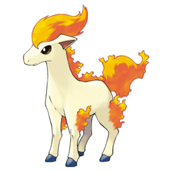 Ponyta